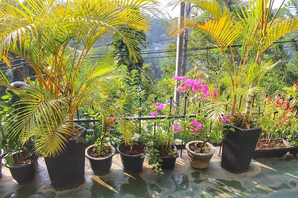 Yes Paradise Kandy
